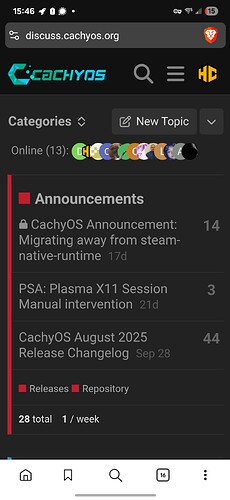 Screenshot_20251130_154647_Brave