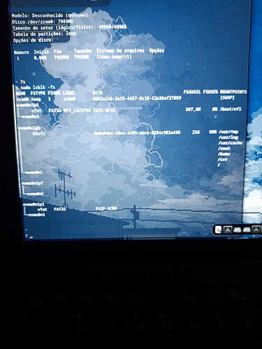 1000609294