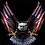eaglesurfing