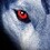 riverwolf67